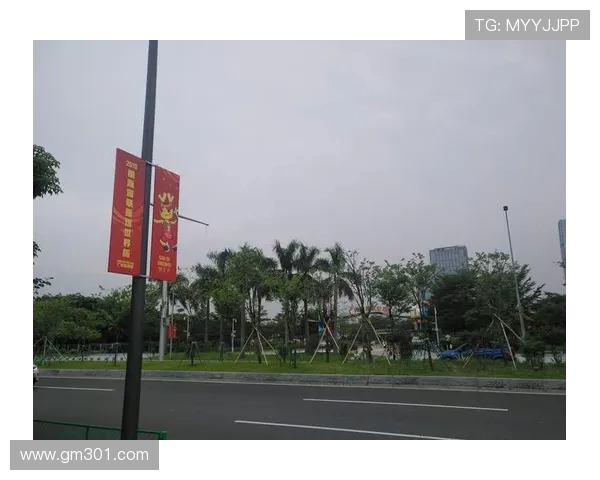 二零二六世界杯赛场周边的实时交通监测赛